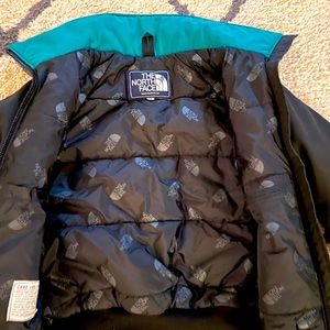 Vintage NorthFace Winter Jacket